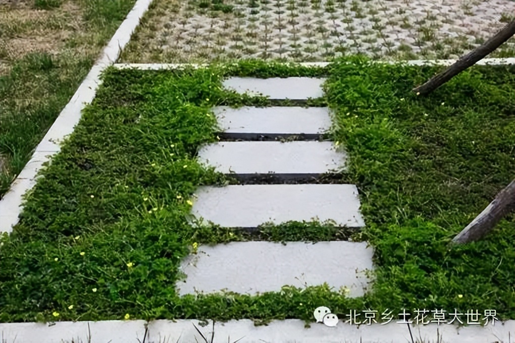 缁挎櫘鏂瑰渾鑺卞崏绉戞妧鏈夐檺鍏徃,缁挎櫘鏂瑰渾