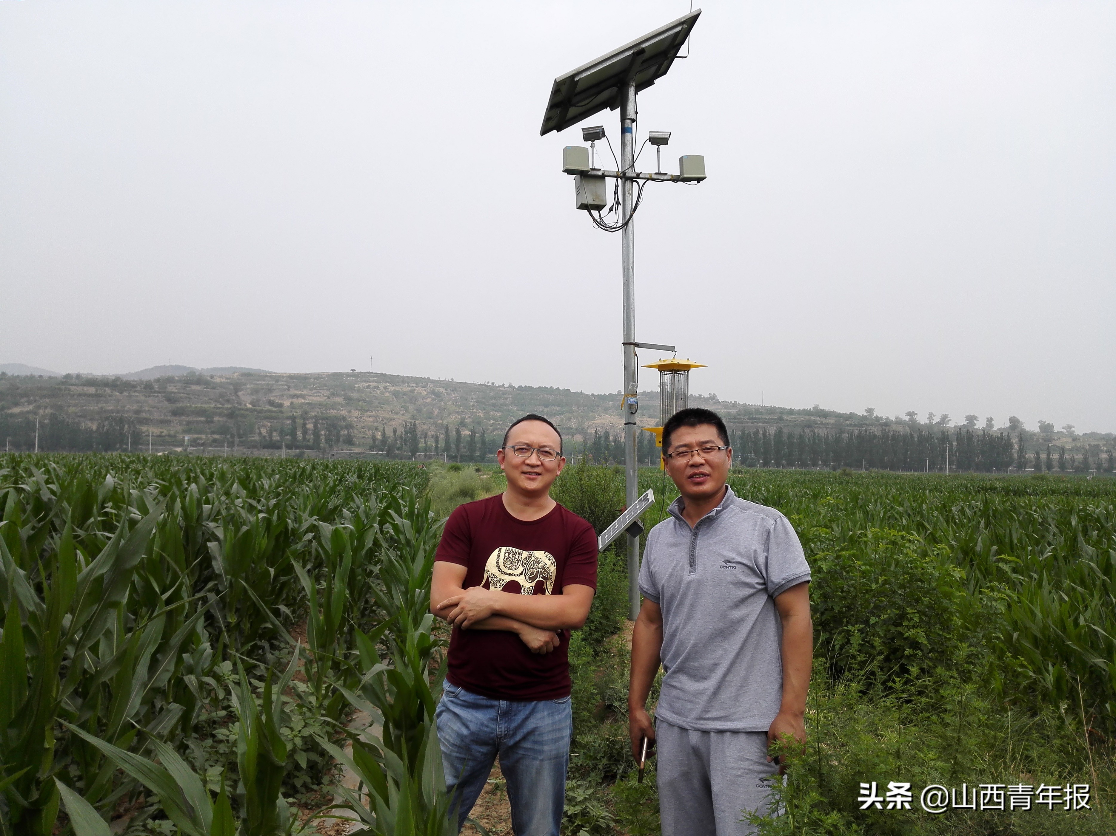 山西忻州“玉米兄弟”，把黑玉米“玩”成网络爆品
