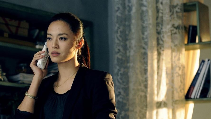 陈凯歌网络暴力电影名字,陈凯歌对电影搜索的评价