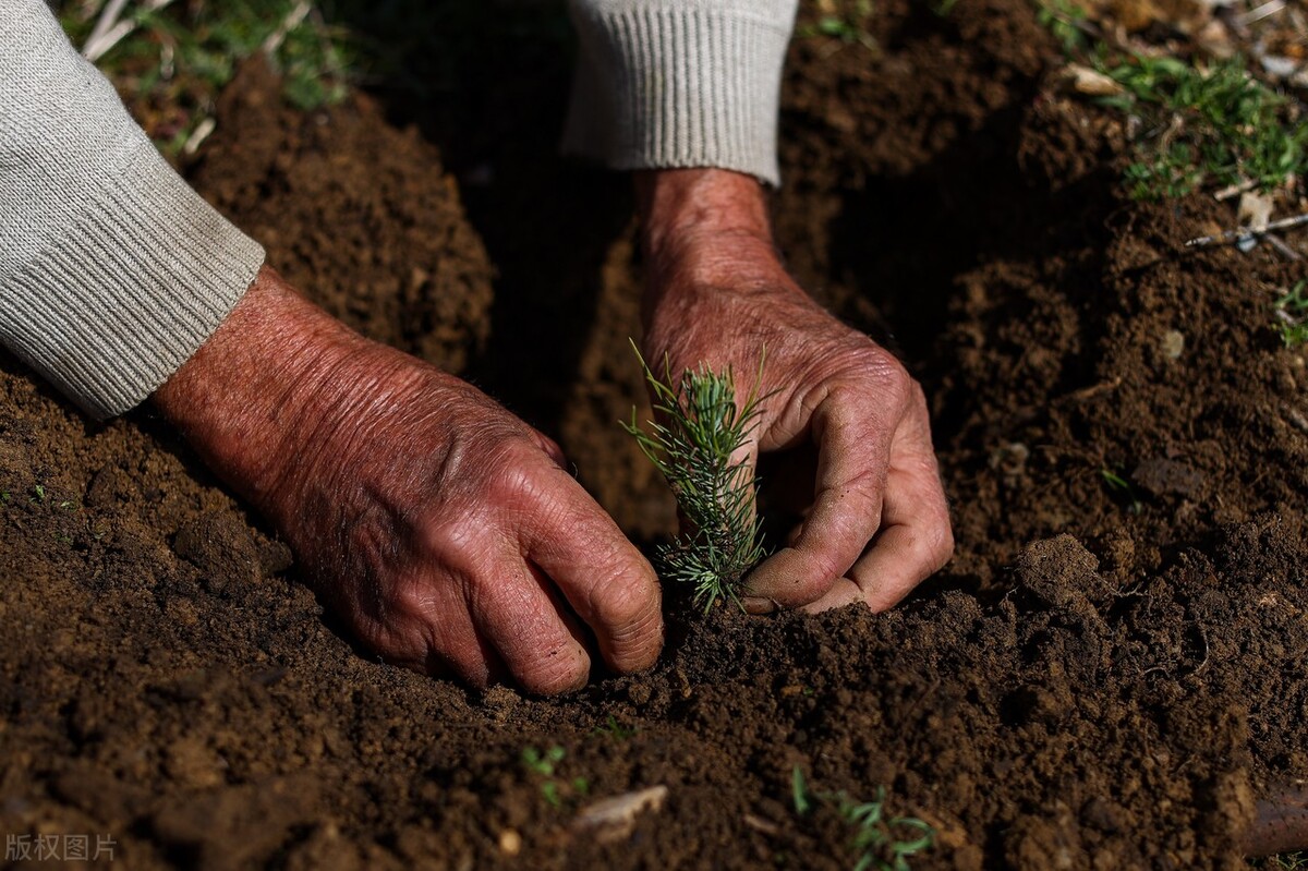 阿布收购土超球队了吗,阿布或收购土超球队