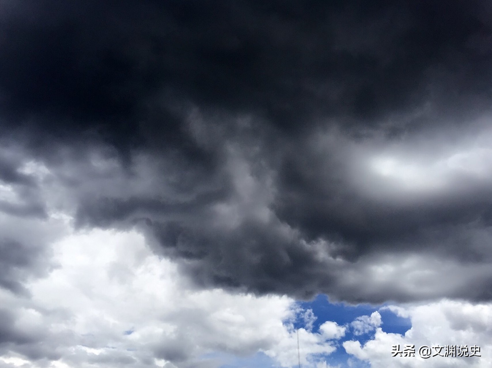 男子在臭水沟捡到一只乌龟,村民捡到乌龟马上报警