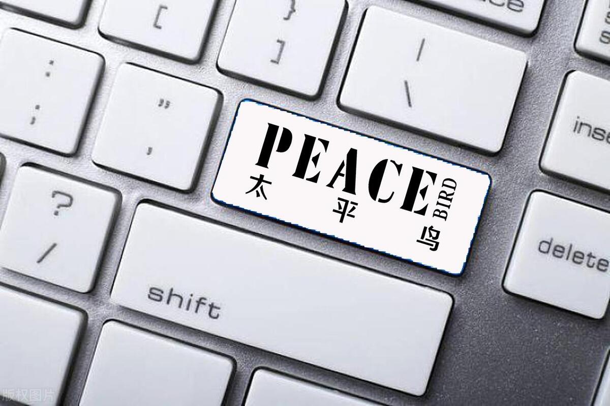 太平洋品牌，通过产品升级和服务创新，给消费者带来了惊喜和创新