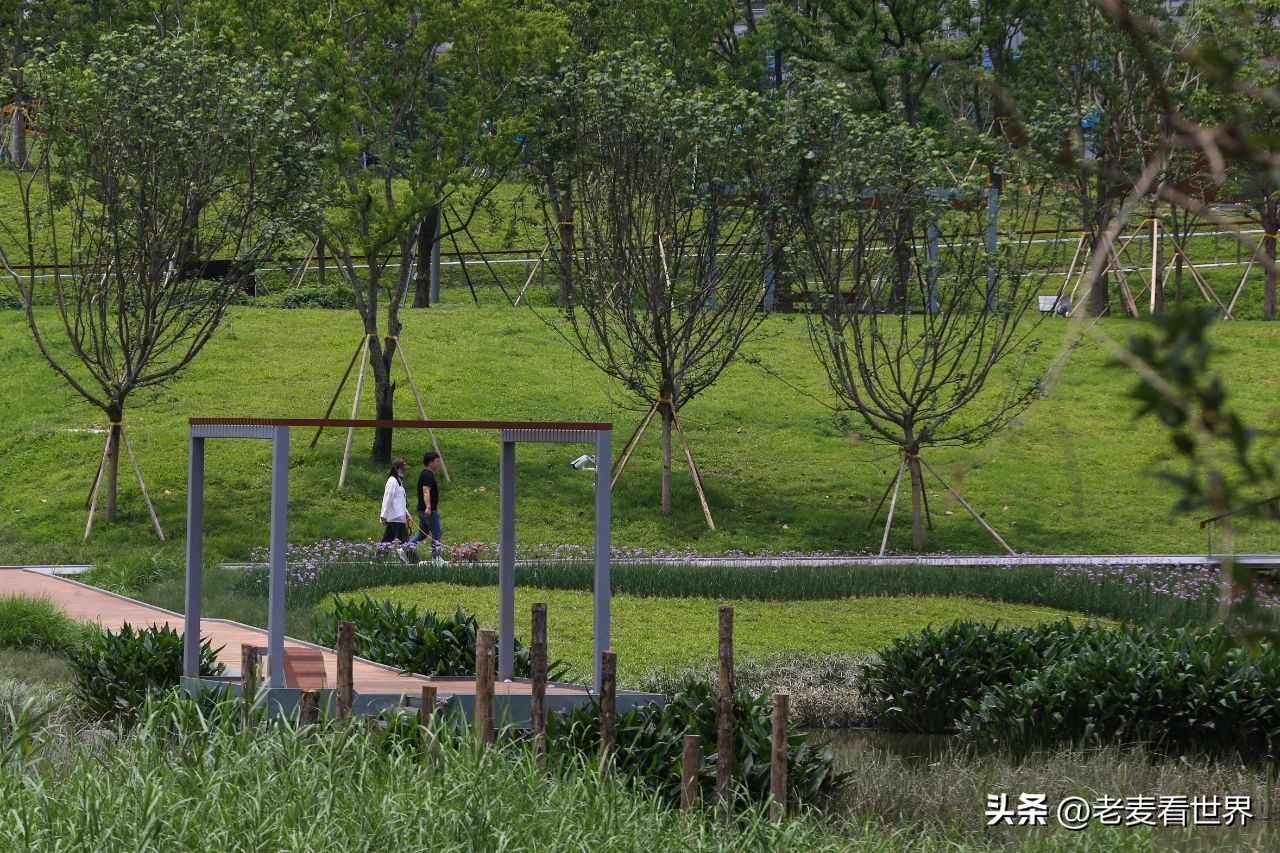 东莞中心公园怎么玩？最全攻略助你通关！五一打卡必备