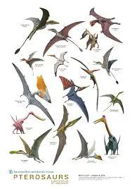 苏格兰巨人化石,苏格兰镰虫化石