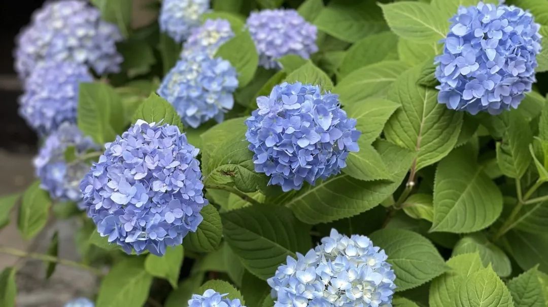 全球公认最好的三款抗老祛皱面霜 (30岁后怎样有效抗老去皱)