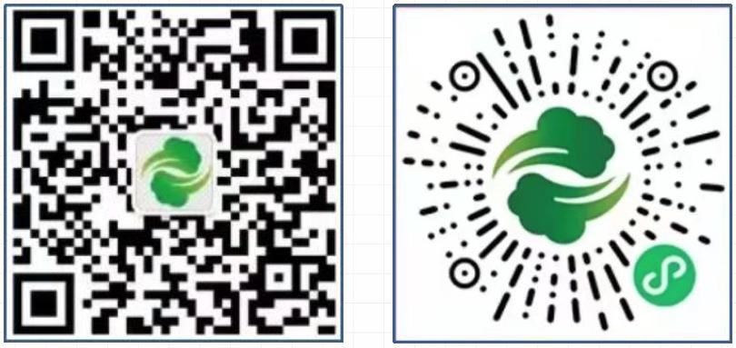 长春线上买菜平台有哪些,薛城线上买菜平台有哪些