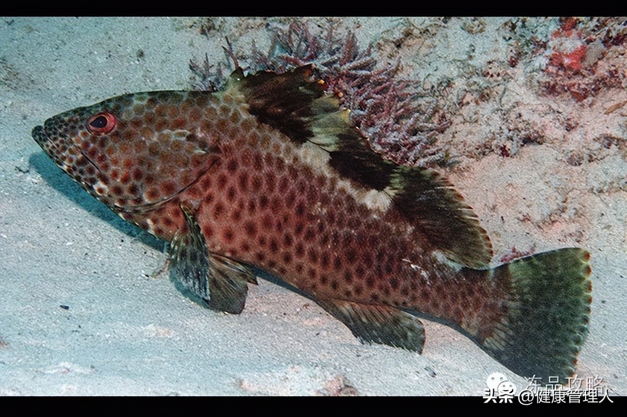 美容护肤食疗方案,美容护肤养生介绍