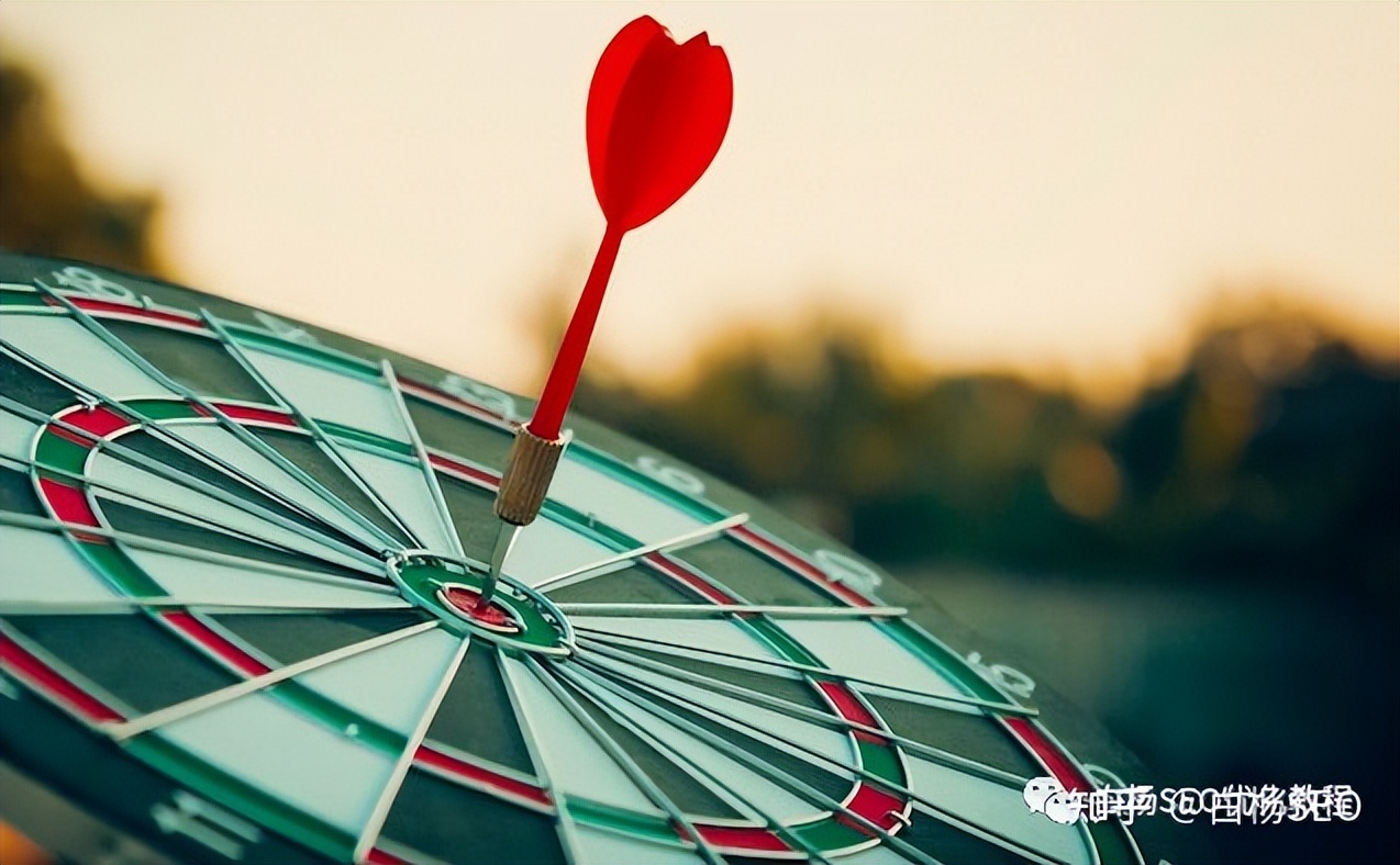 白杨seo博客推广渠道,seo新项目从哪些入手