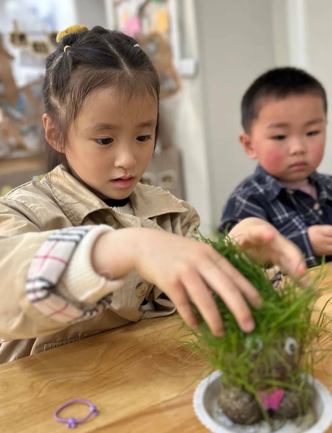 你好，草娃娃！——庆安乐儿堡幼儿园小二班课程故事