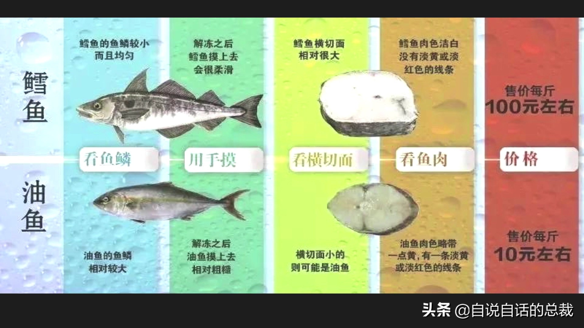 为什么鳕鱼卖的那么便宜,为什么买的鳕鱼特别松散