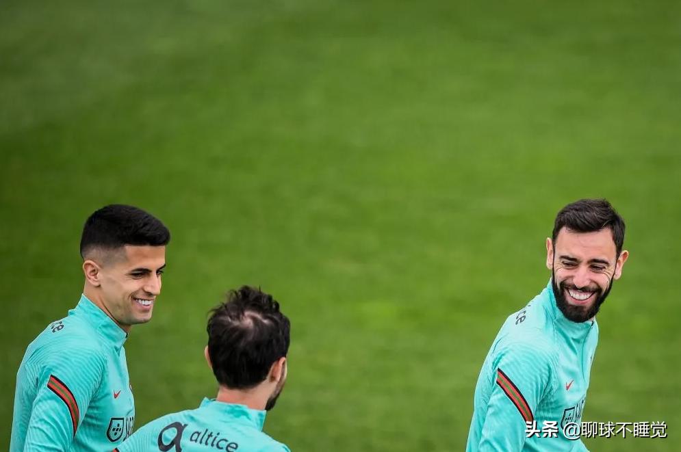 世预赛葡萄牙vs爱尔兰全过程,世预赛葡萄牙0-0爱尔兰c罗造险