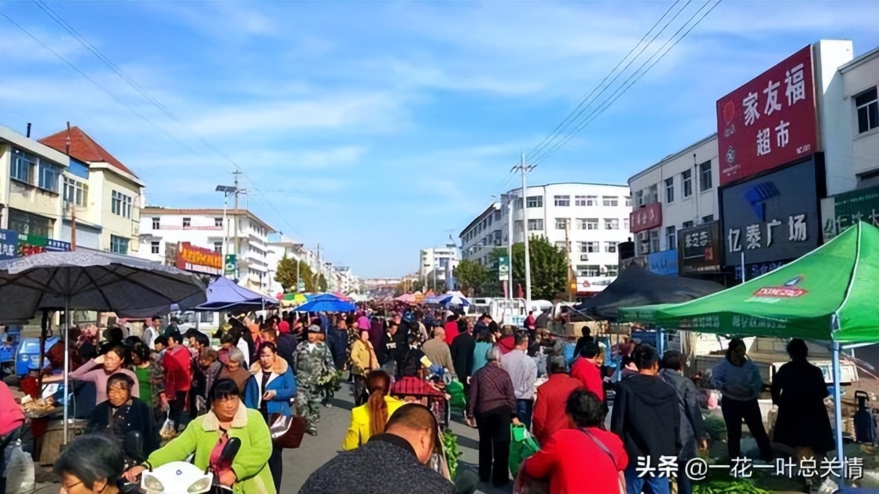 老鼠药蟑螂药没人要视频,老鼠药歌曲