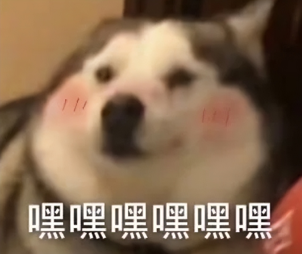 日入500网上兼职,日入500的线上工作