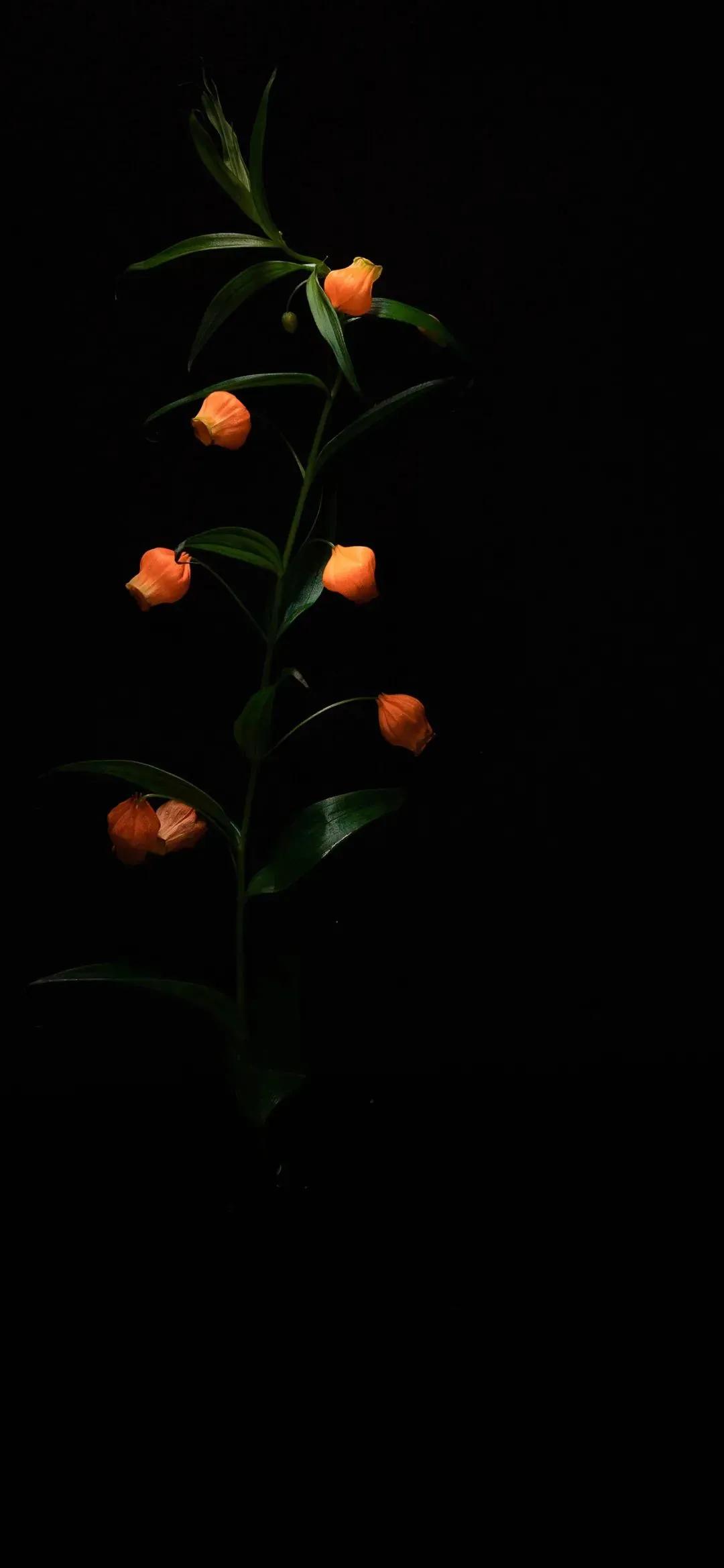 iphone高清黑色省电壁纸,炫酷又省电超清的黑色壁纸