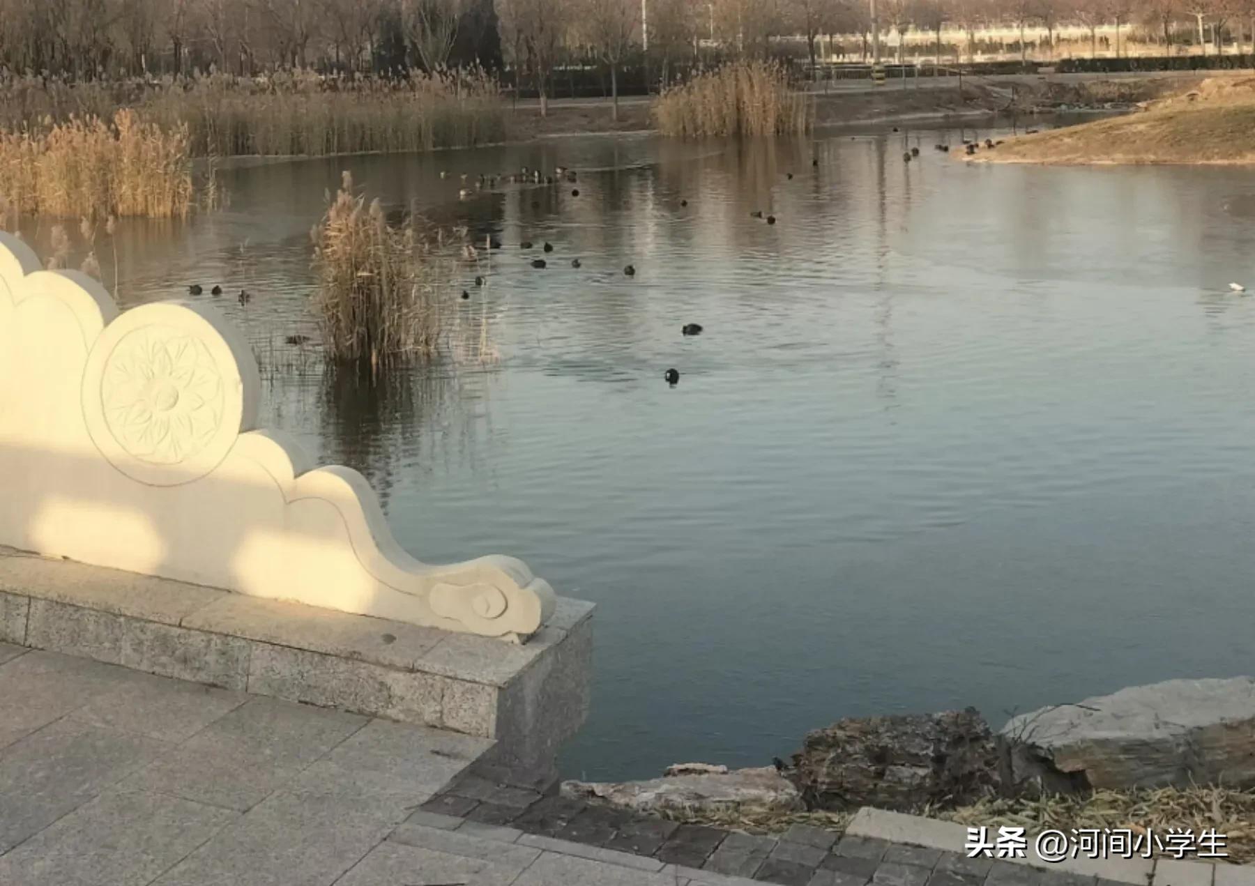 六年级上册语文园地有你真好,六年级第八单元有你真好习作例文