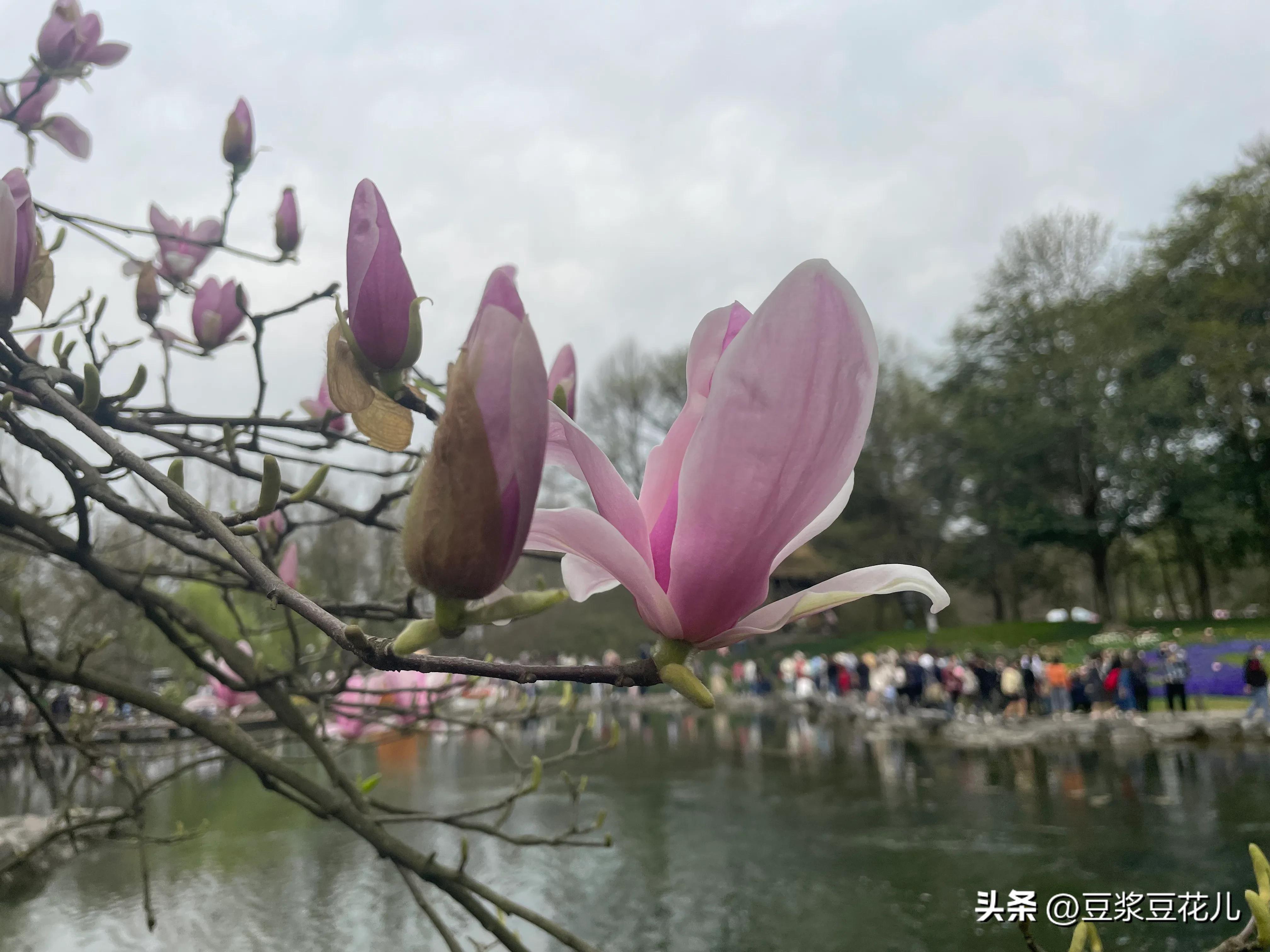 十分钟带你游遍西湖十景之一,西湖十景二日游最佳游览路线