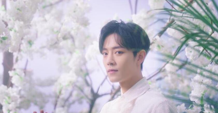 剑网3萌新引导,剑网3萌新指引npc