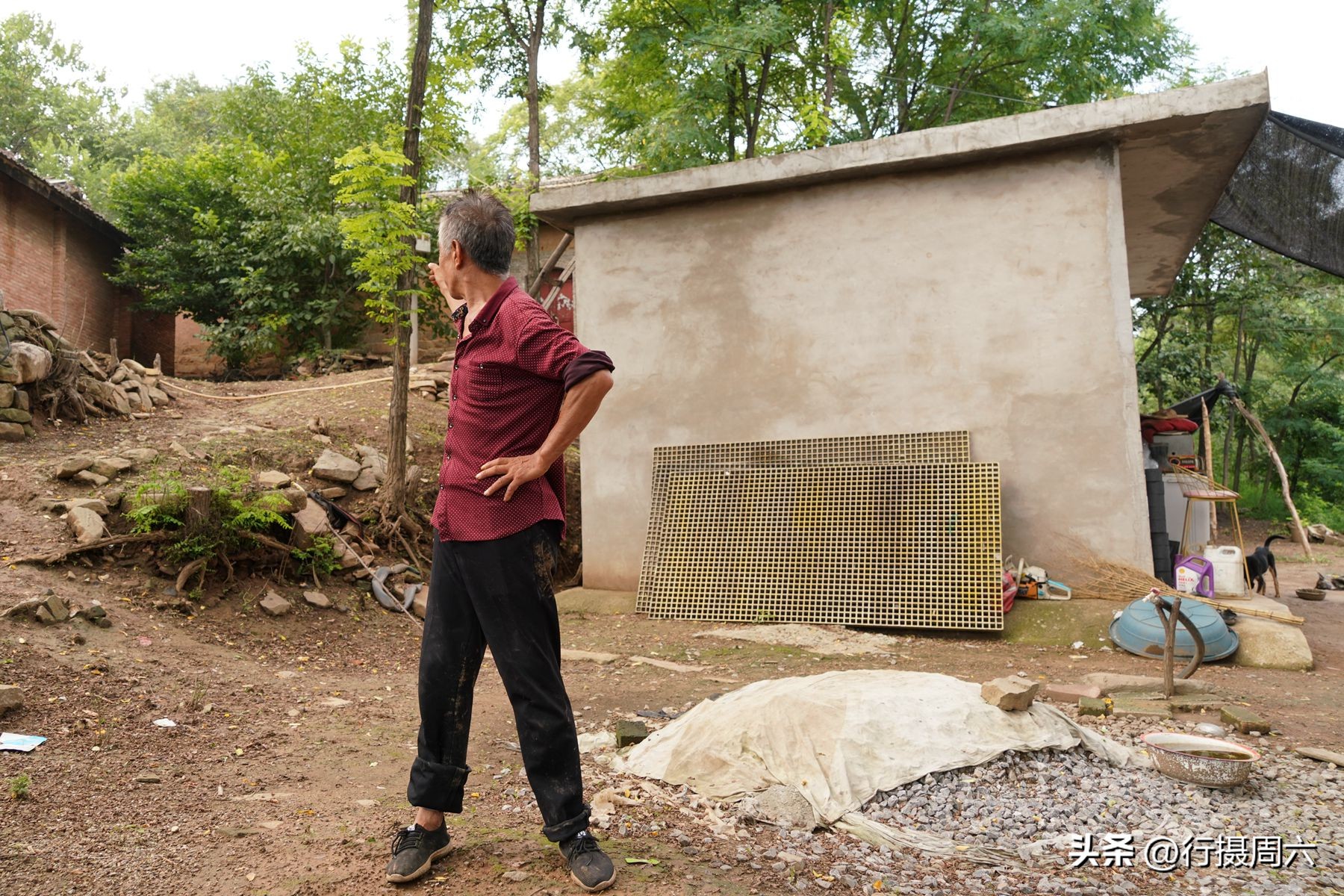 山村兄弟二人搭伙养羊，分配方法奇特，弟弟每年能分8只羊