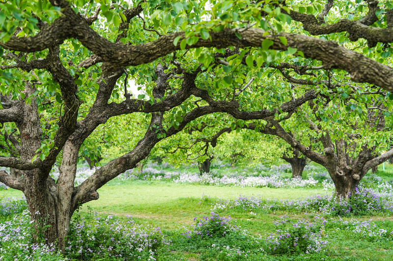 宿州两日游,宿州旅游攻略三日游