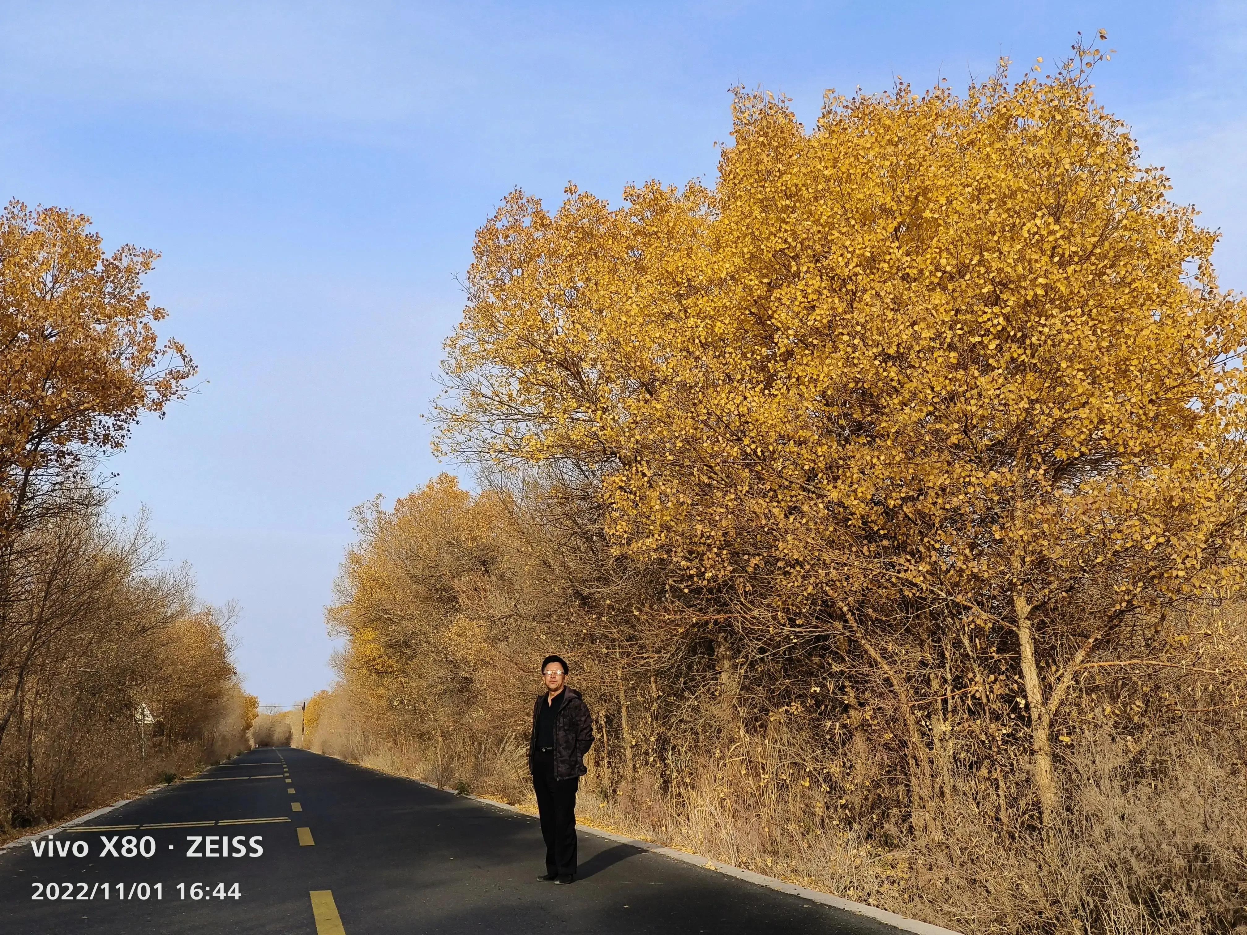 行一个军礼叫一声娘