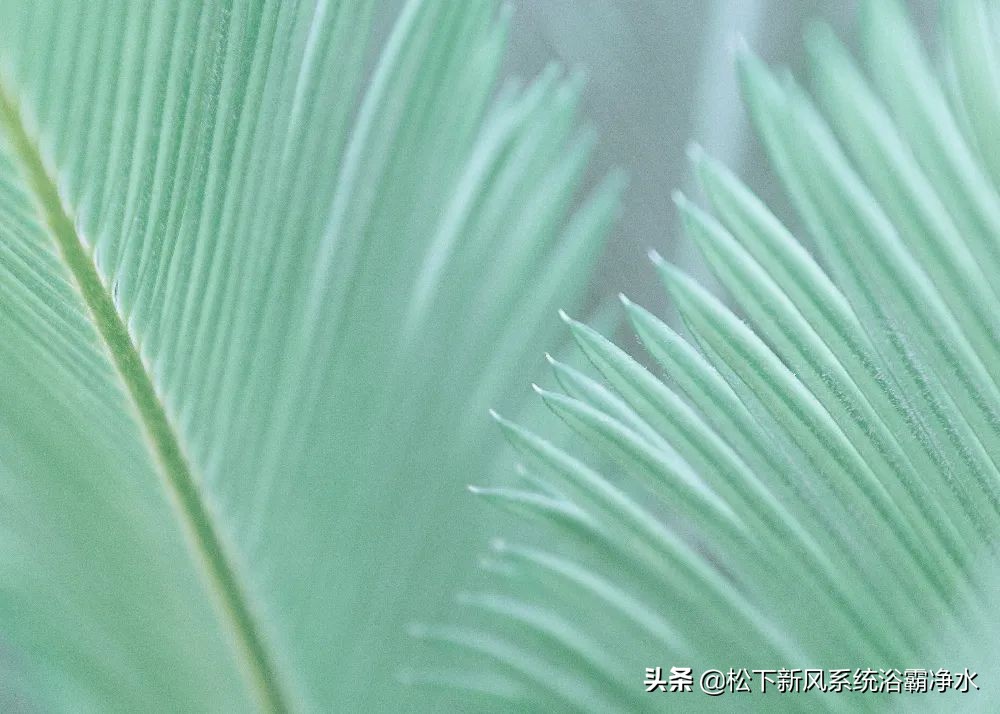 松下新风卖点,松下新风好在哪里