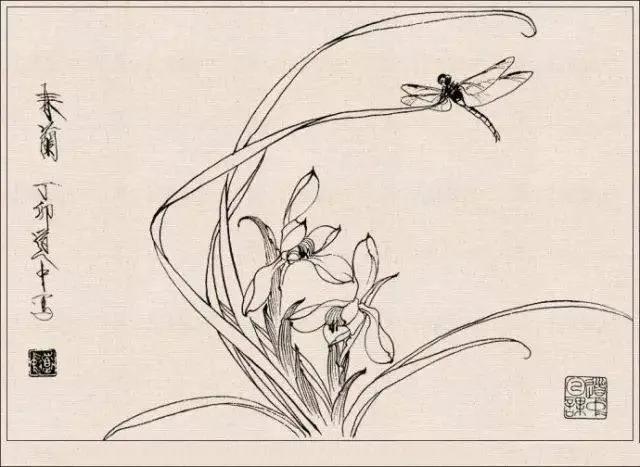 工笔草虫白描王道中,写意花鸟画草虫绘画过程分享