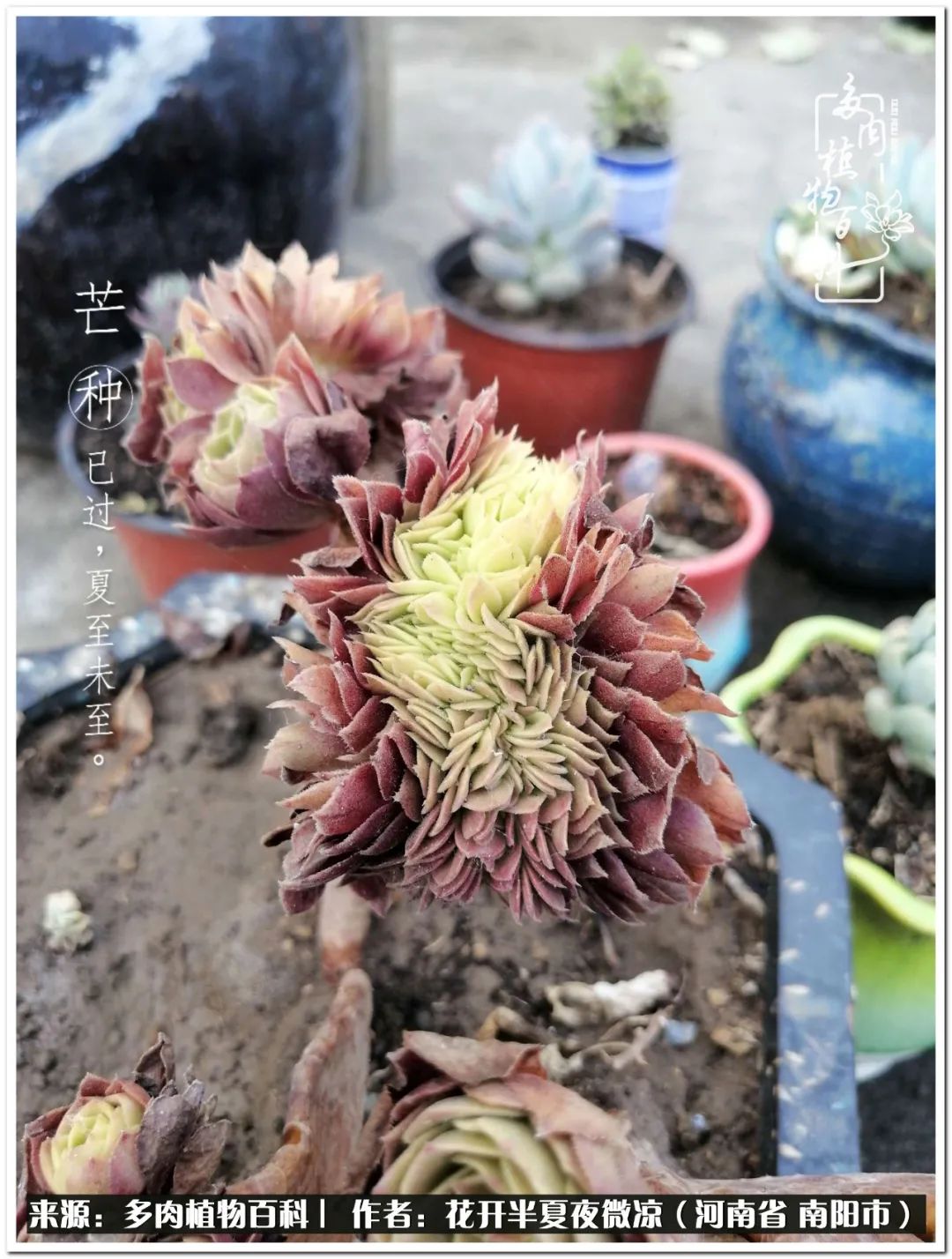 万事开头难只要坚持才有收获,万事开头难只要肯干就会有结果