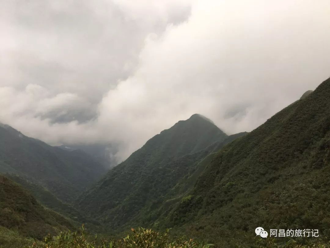 广西十万大山国家森林公园,广西十万大山国家森林公园图片