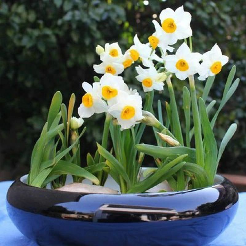 猫怎么养新手养猫需注意问题,猫怎么养新手养猫需注意4大问题