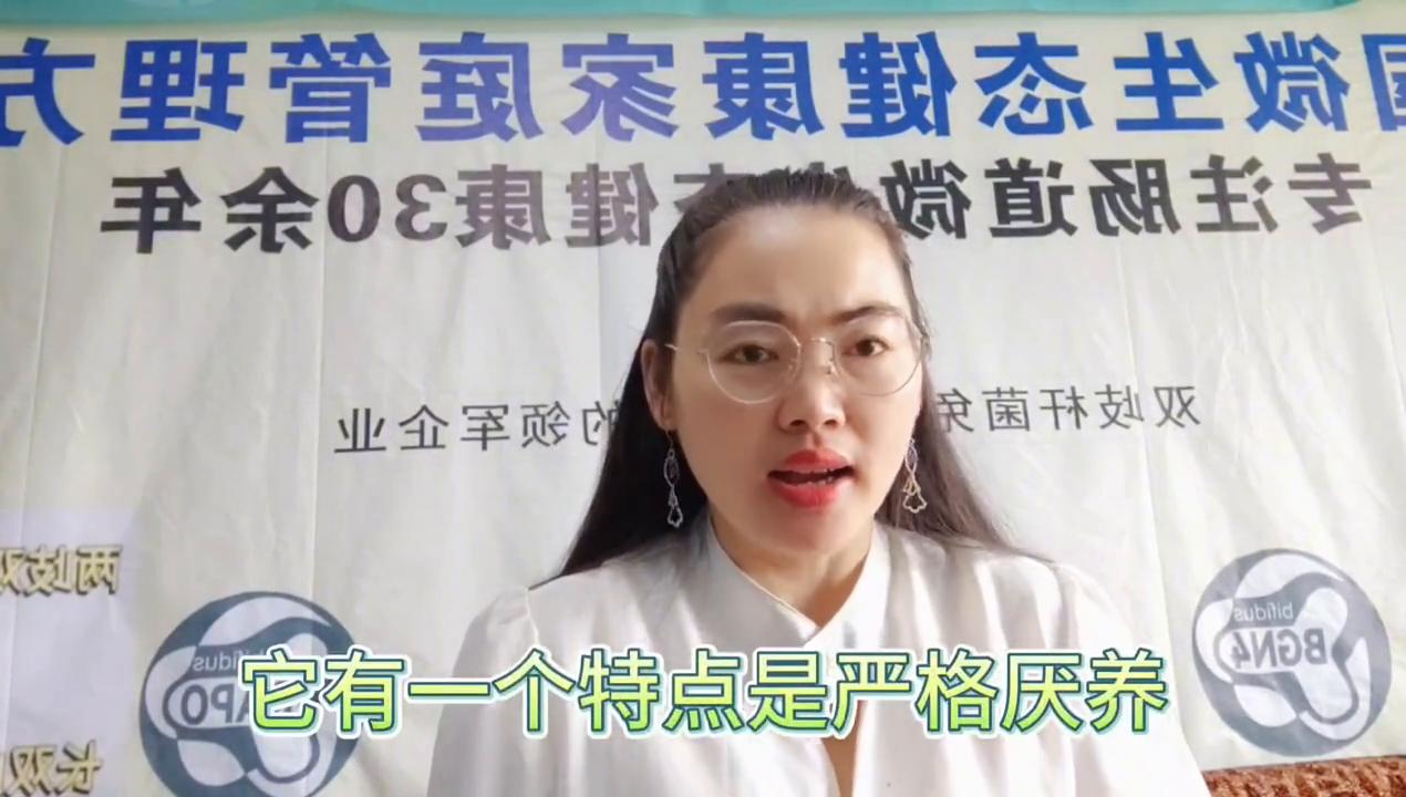 乳酸杆菌与双歧杆菌的区别,你知道肠道的功能吗