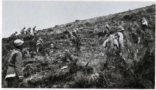 广泛机动，察机寻隙