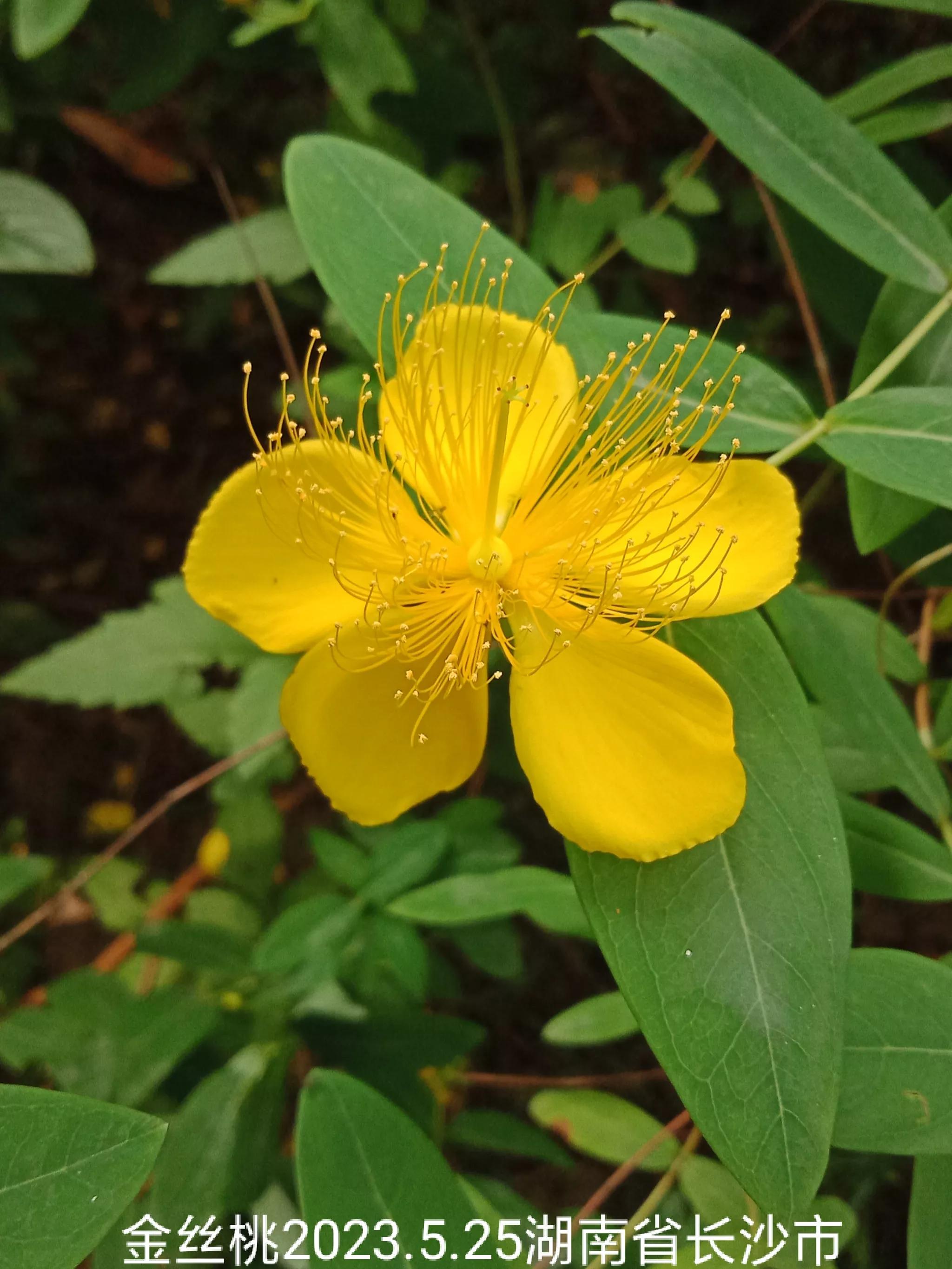 微信群忘保存找不到怎么办,微信群没保存通讯录丢失怎么找回