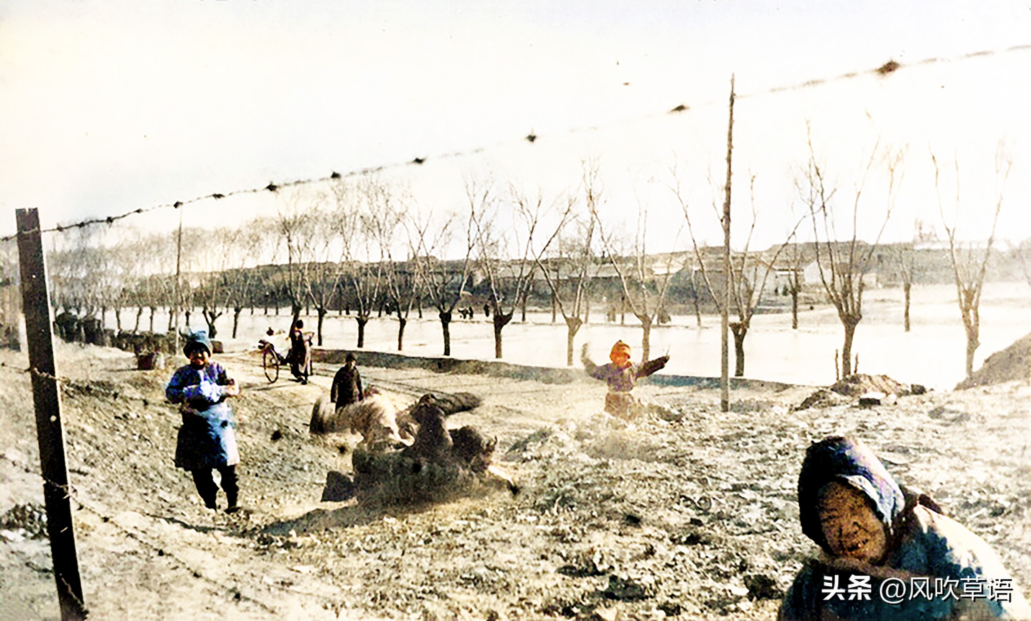 1928年的北京街头，黑猪过处黄尘四起，茶馆门前“葛大爷”现身