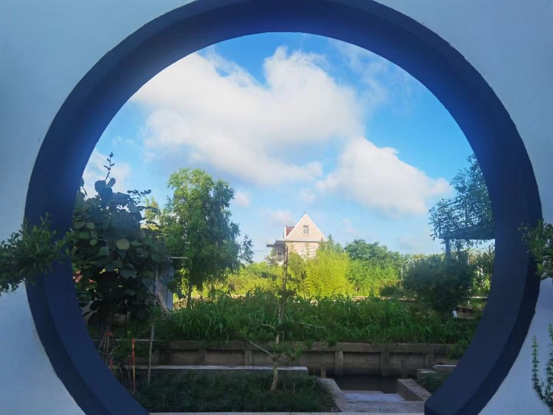 心动！那些藏在崇明民宿里的初秋小美好