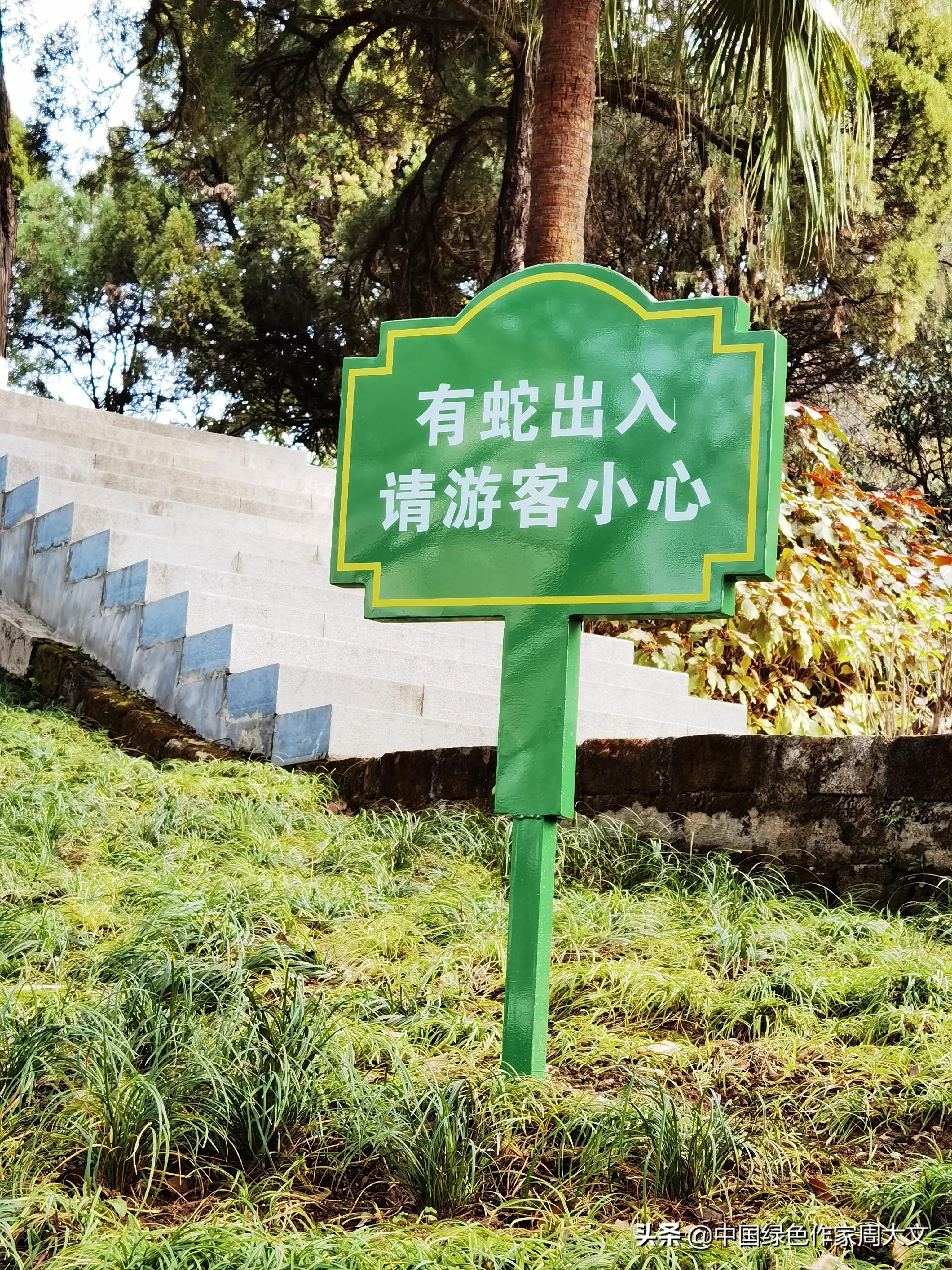 龙岩中山公园有蛇吗,中山市公园有蛇