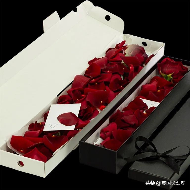 全英线上订花攻略：情人节限定fafa～爱你的心用花表示！