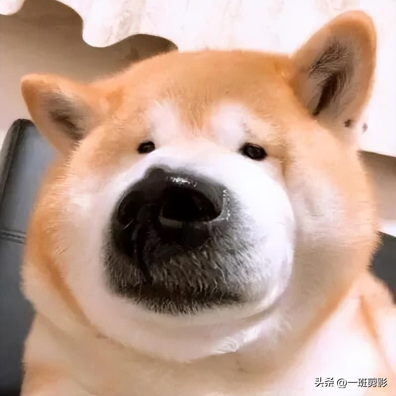 小男孩拿着一张假钱去玩具店,搞笑小男孩买玩具