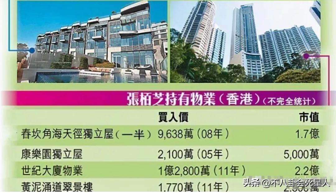 向太直播谈张柏芝,向太直播说张柏芝