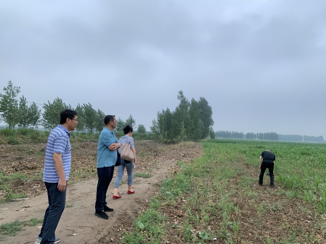 泥坑净雅香1946还生产吗,泥坑酒浓香型