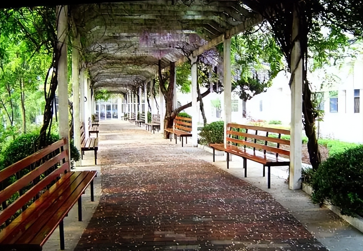 湖南女孩千杯不醉,湖南女子千杯不醉完整版