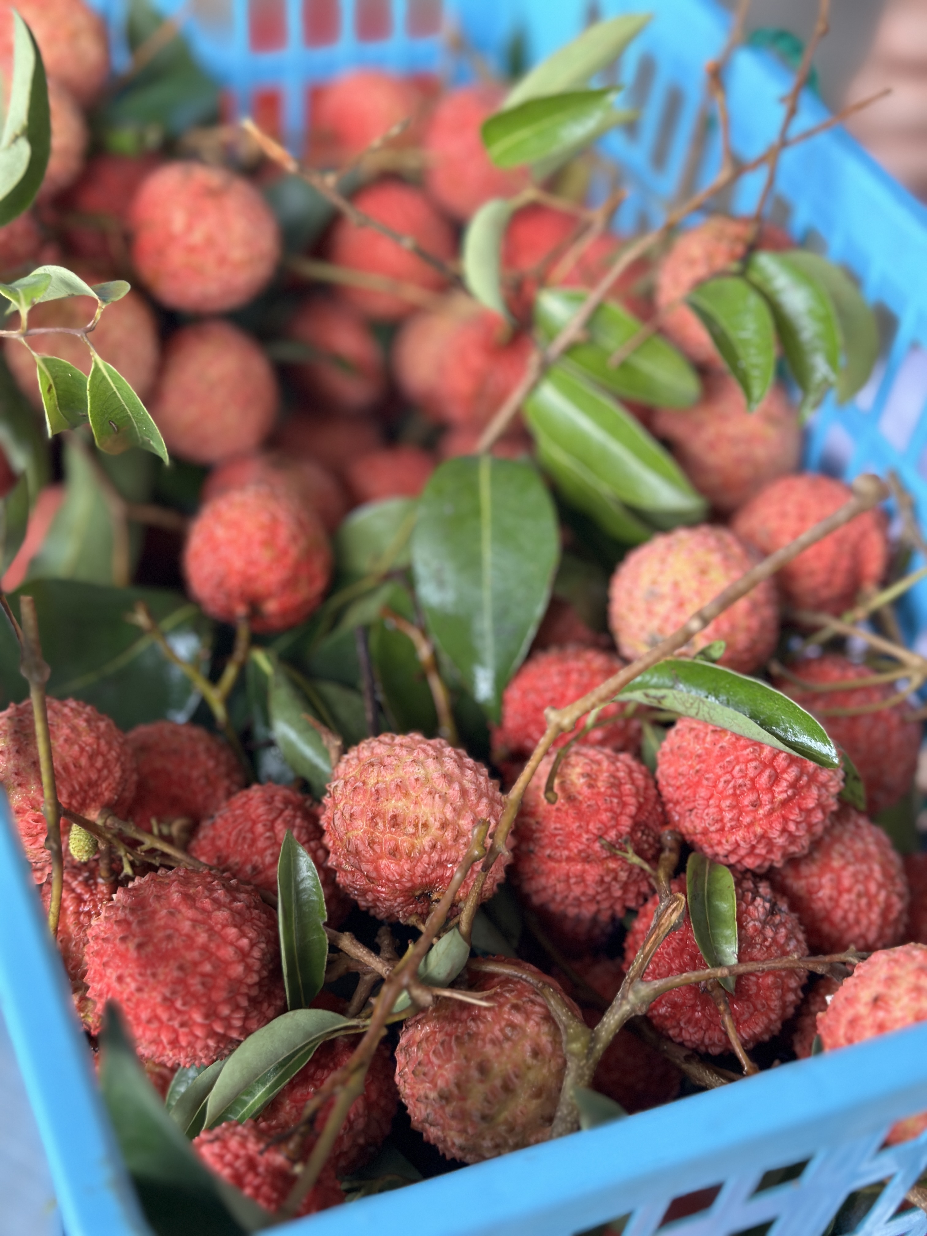 东莞美食和地标简介及特点,东莞的美食历史文化