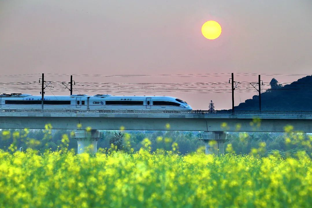 光明，一个来了就想安居的地方！