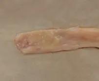 肉鸡解剖及病变特点,肉鸡解剖教学