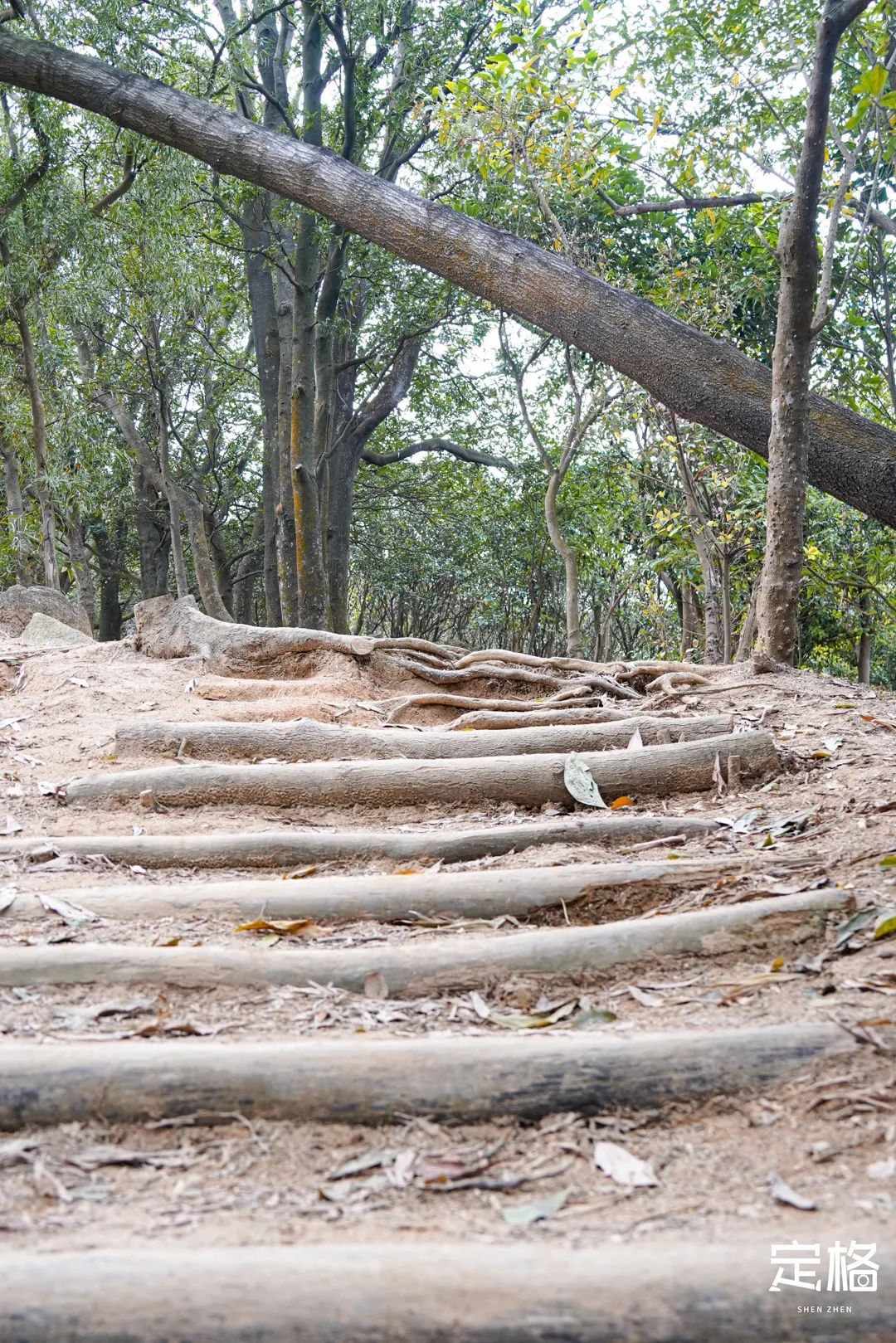 深圳10个小众打卡地免费游玩,深圳十大免费打卡地