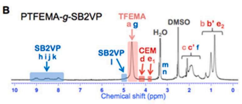 环糊精聚合物的自组装,聚合物胶体的自组装