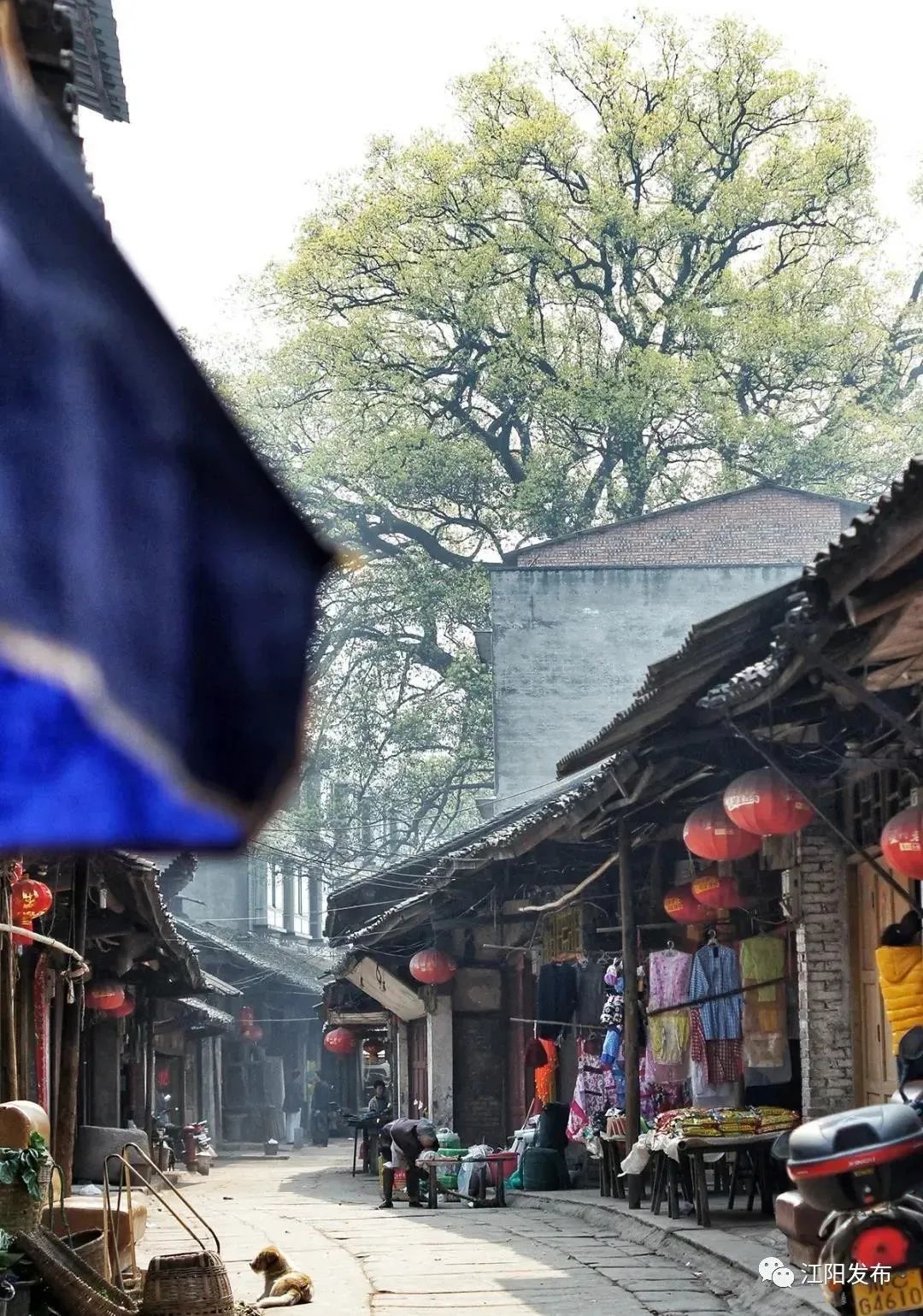 泸州古镇油纸伞,泸州春游景点有哪些