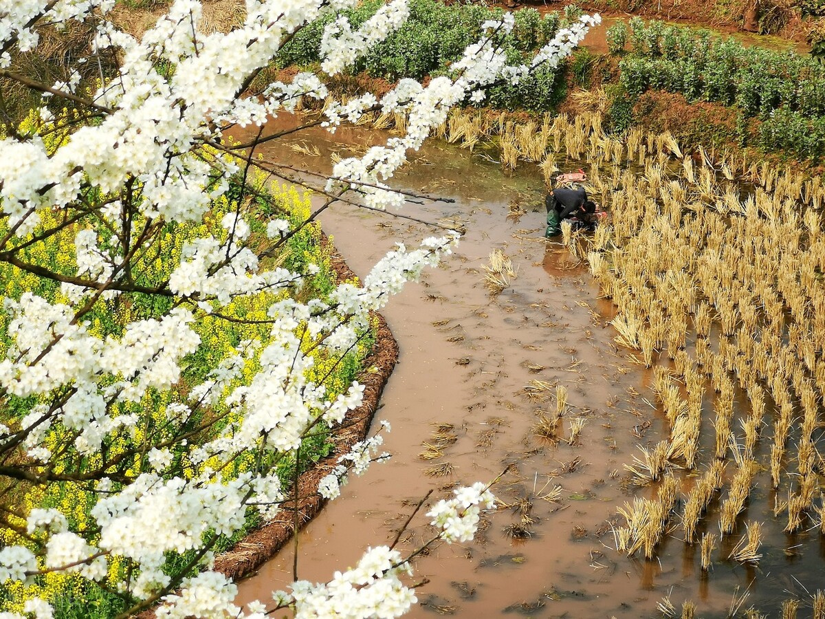 农村大整顿最新消息,农村工作大整顿