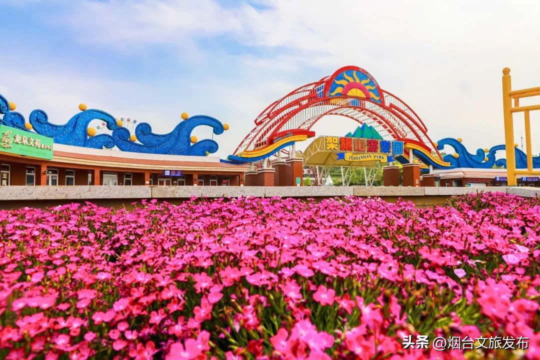 烟台旅游十大必去景点招远,招远黄金节值得去吗