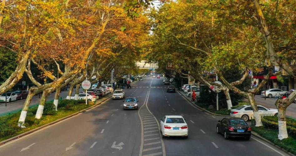 合肥市肥西县旅游景点,合肥旅游胜地有哪些