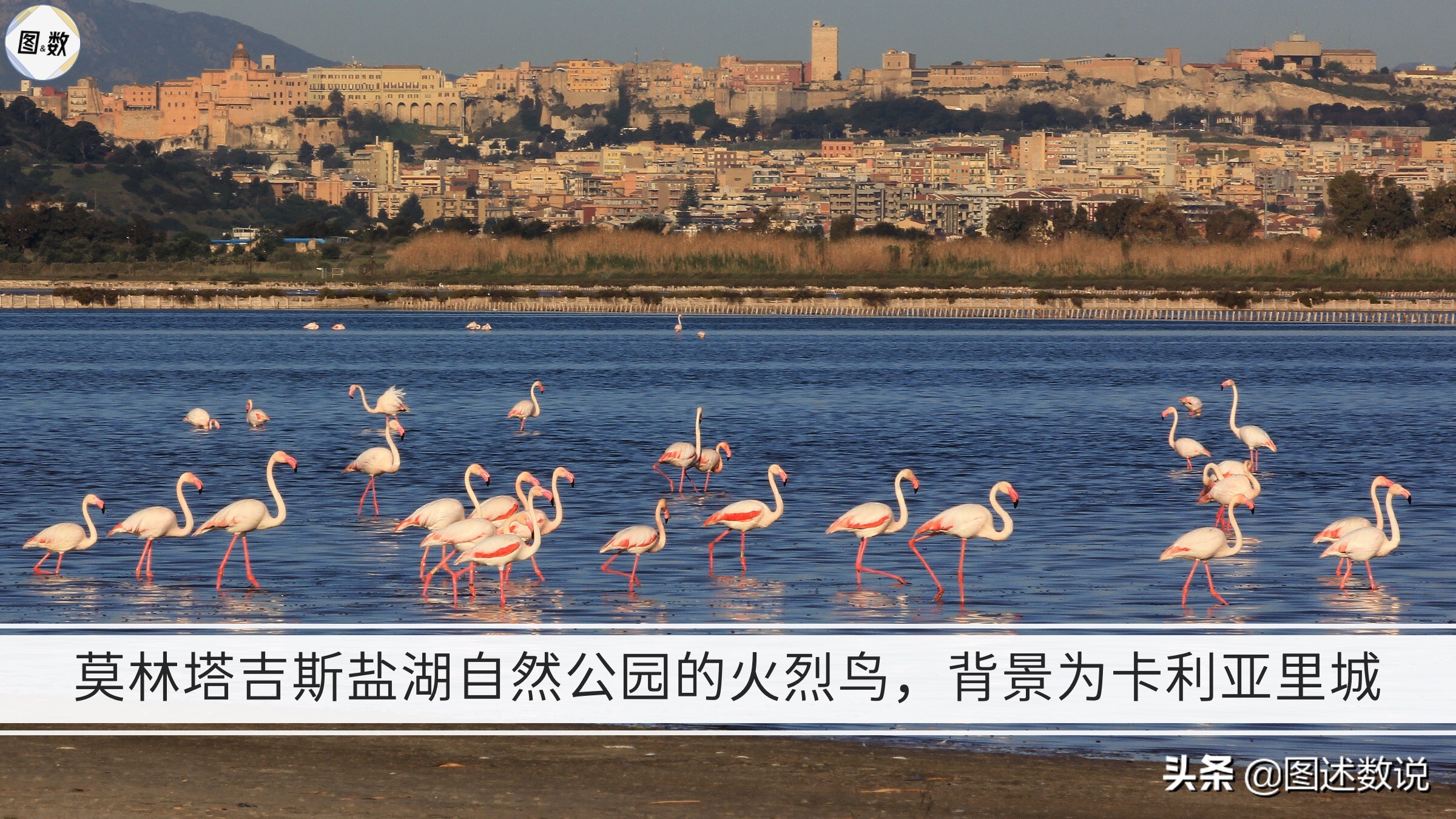 21-22赛季意甲地理-2罗马及以南地区,罗马、拉齐奥和那不勒斯等